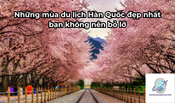 Những mùa du lịch Hàn Quốc đẹp nhất bạn không nên bỏ lỡ