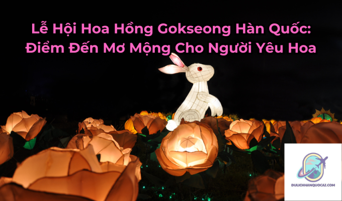 Lễ Hội Hoa Hồng Gokseong Hàn Quốc: Điểm Đến Mơ Mộng Cho Người Yêu Hoa