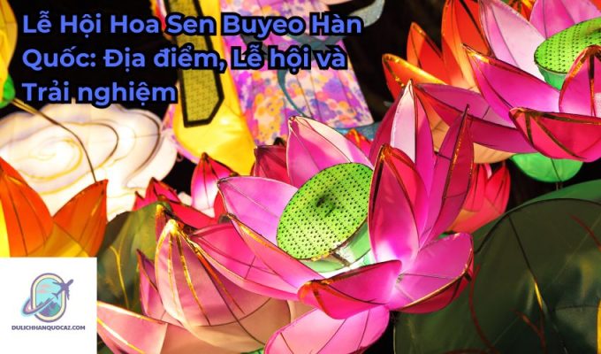 Lễ Hội Hoa Sen Buyeo Hàn Quốc: Địa điểm, Lễ hội và Trải nghiệm